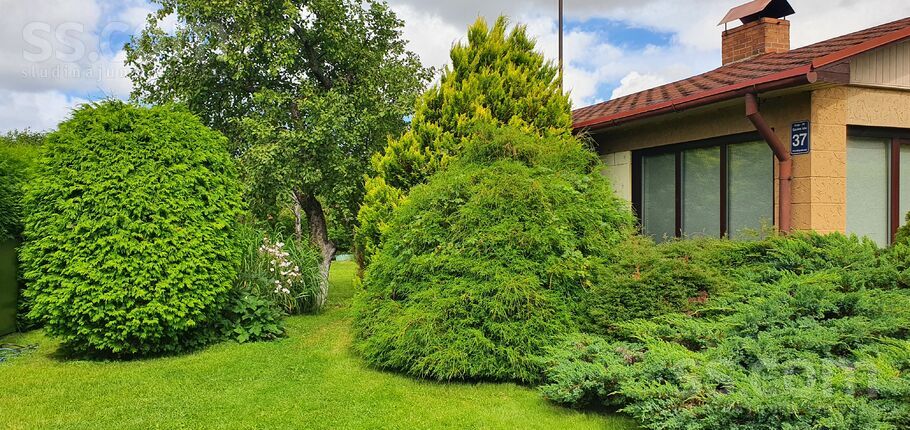 Saules 37, Zvejniekciems, Rīgas rajons, Saulkrastu l. t. — maja