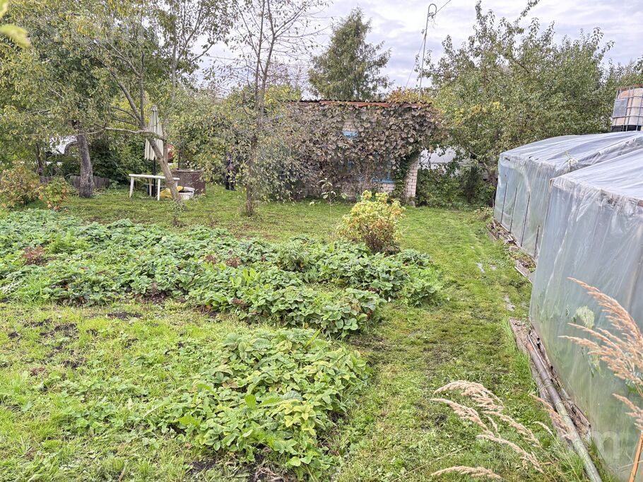 Ezitis 248, Rīgas rajons, Olaine — maja