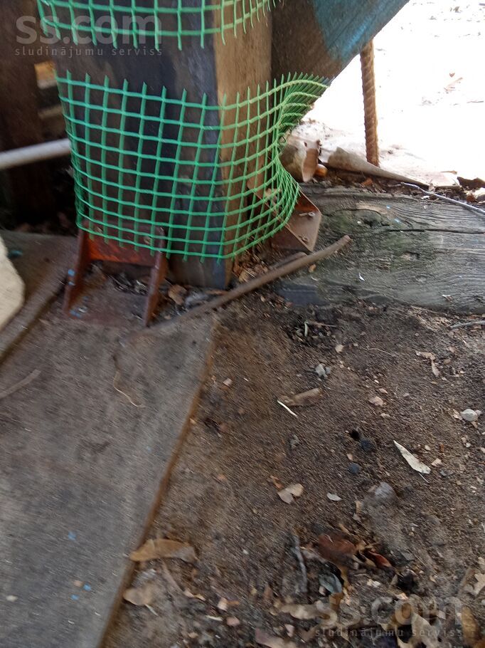 Čiekurkalna 2. l. 24, Rīga, Čiekurkalns — telpa