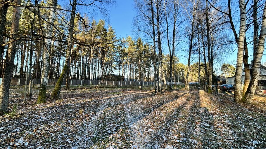 Priežu iela 11, Ciemupe, Ogre un raj., Ogresgala pag. — zeme