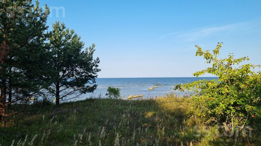 Saulstari, Valgalciems, Talsi un raj., Rojas pag. — zeme