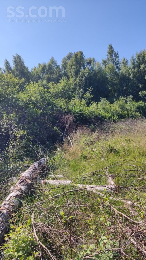 Malienas iela 9, Lapmežciems, Tukums un raj. — zeme