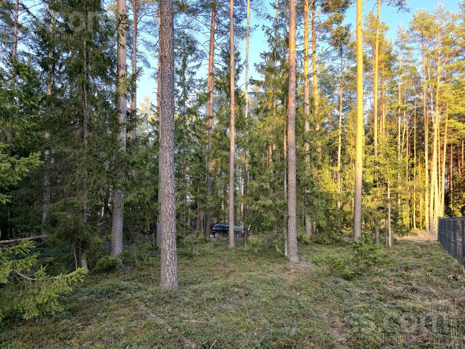 Jūrkalnes 17, Skulte, Limbaži un raj., Skultes pag. — zeme