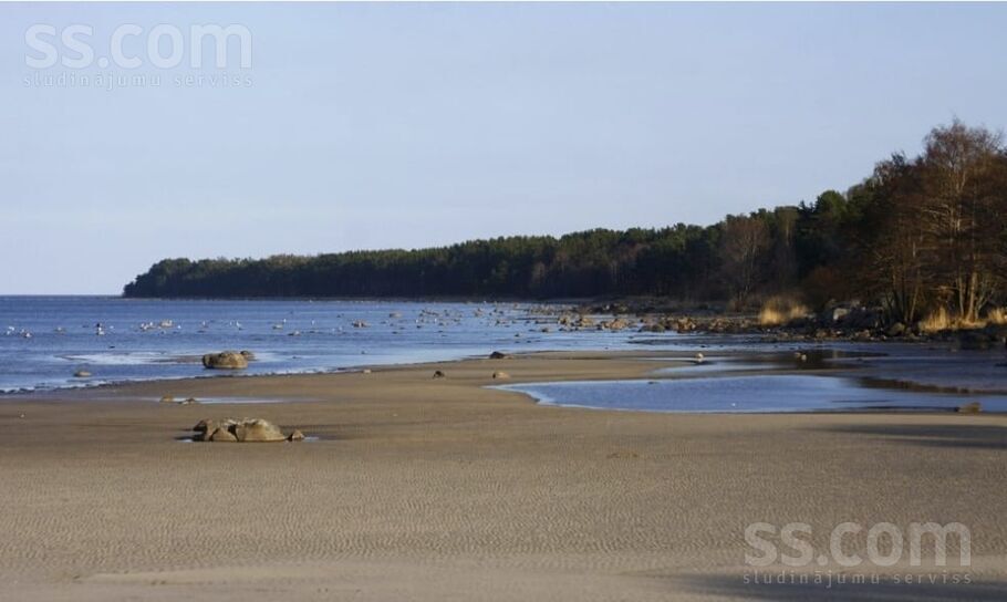 Ošu 2, Roja, Talsi un raj., Rojas pag. — maja