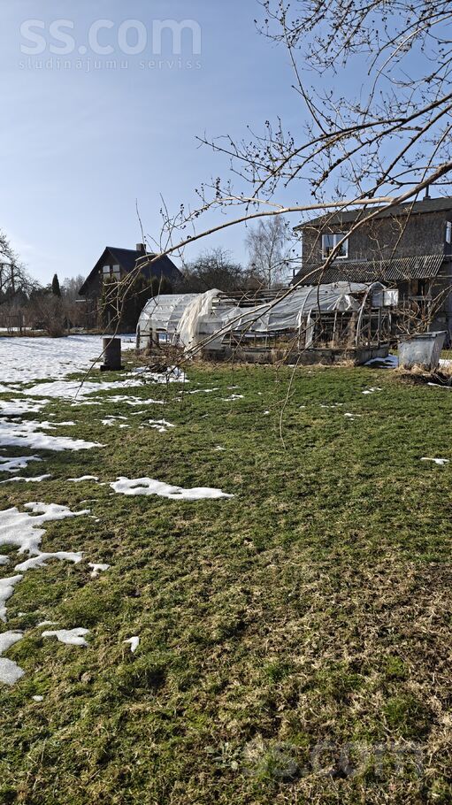 Ceriņi-M 4740, Jāņupe, Rīgas rajons, Olaines pag. — maja