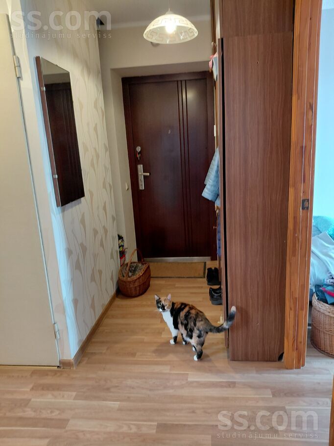 Latgales 19a, Ludza un raj., Ludza — dzivoklis