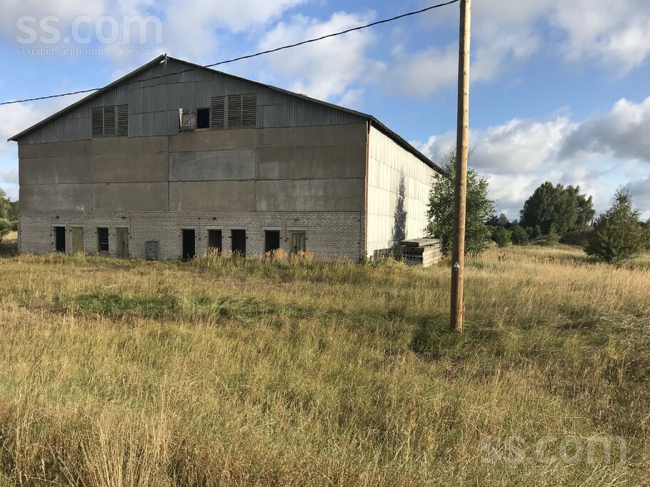 Riņķa iela 7, Ventspils un raj., Piltene — telpa