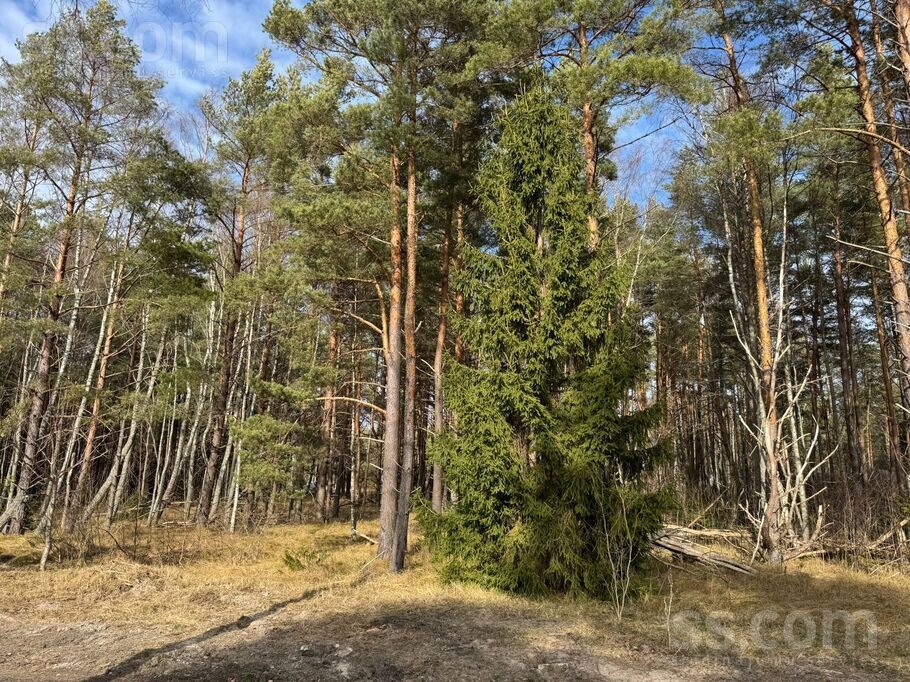 Zeltenes iela 14, Liepāja un raj., Pāvilosta — zeme