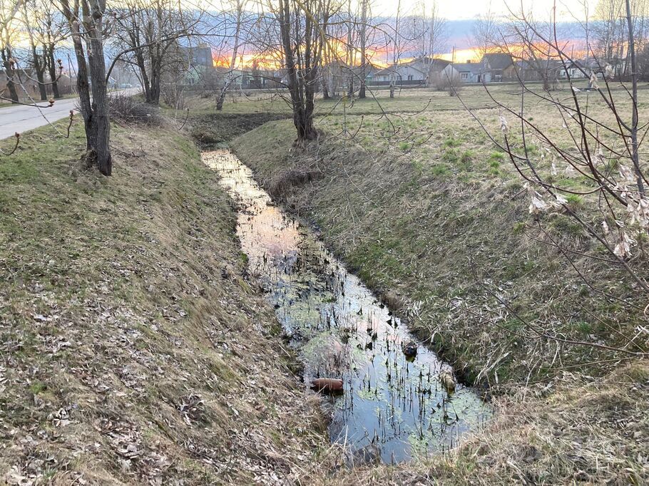 Viskaļu 46, Jelgava un raj., Jelgava — zeme