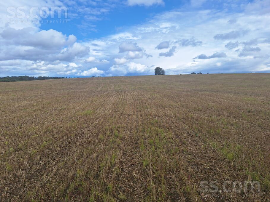 Priežukalni, Alūksne un raj., Ilzenes pag. — zeme