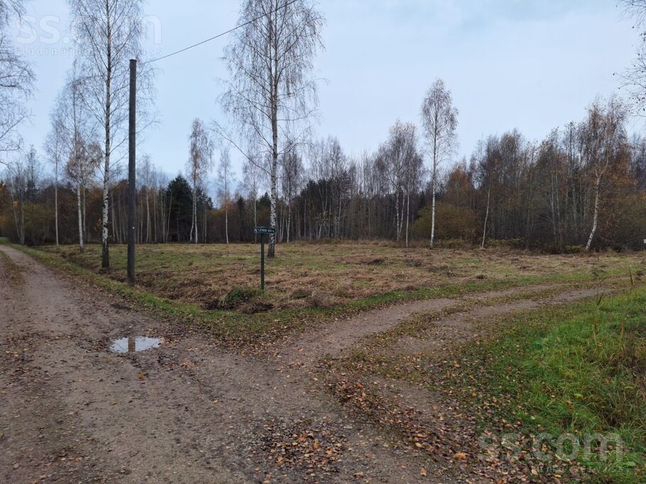 Evas, Kaltene, Talsi un raj., Rojas pag. — zeme